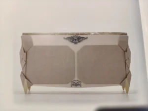 WhatsApp Image 2026-03-05 at 11.52.09 AM (1)