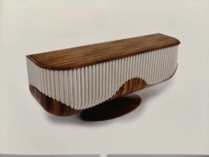 WhatsApp Image 2026-03-05 at 11.52.14 AM